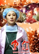 从零开始掌握SEO优化流程及成功案例